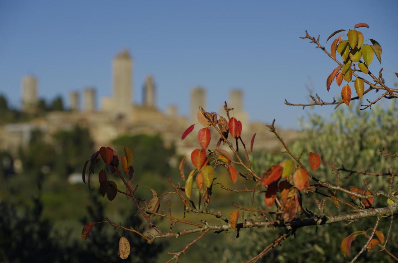 Il Borgo Antico Lejlighed San Gimignano Værelse billede